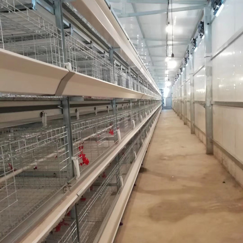 Automatic H Type Chicken Cage Multi Tiers Stacked Poultry Farms Layer Cage