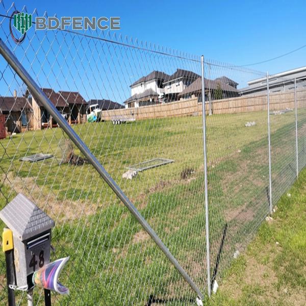 Village Road Chain Link  Fence Livestock