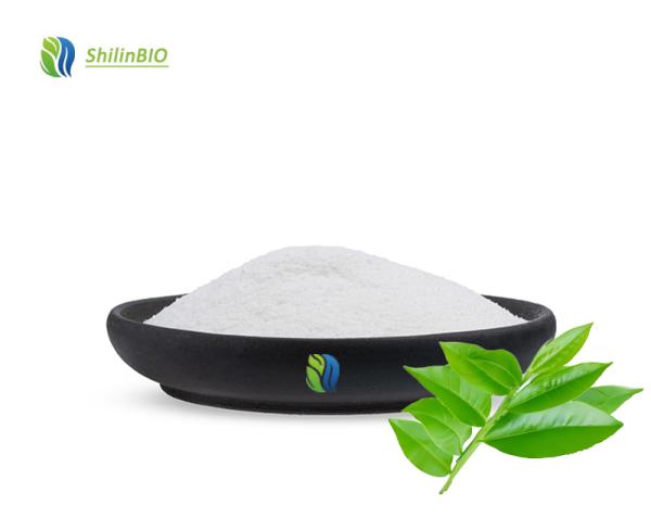 Wholesale High Quality L Theanine Tea Extract L-theanine 99% L-Theanine Powder