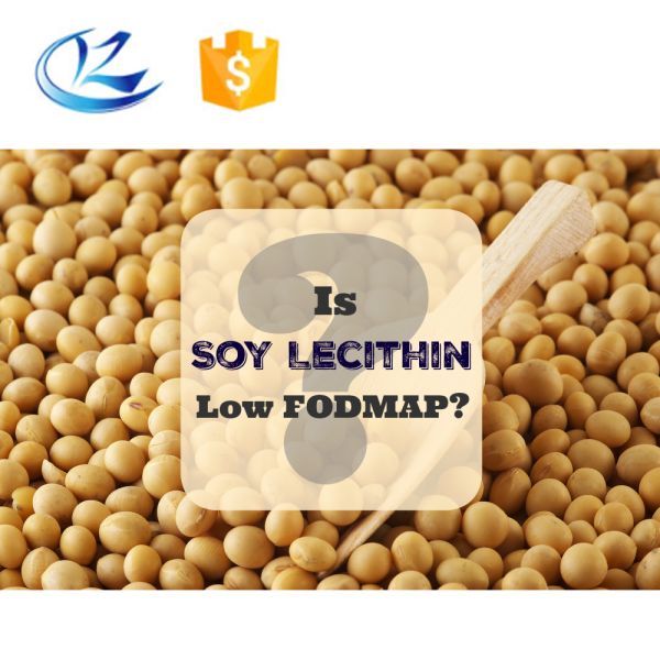 Non-GMO Sunflower Lecithin Powder Food Grade, 24-Month Shelf Life (EINECS No. 232-554-6)