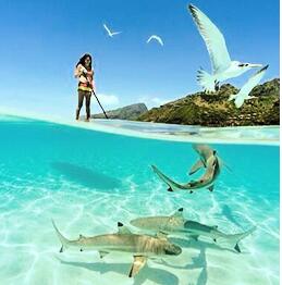 Women Purse, Storage Bag Organizer With Reinforced Handle, Pouch Handle Straps for Women Men