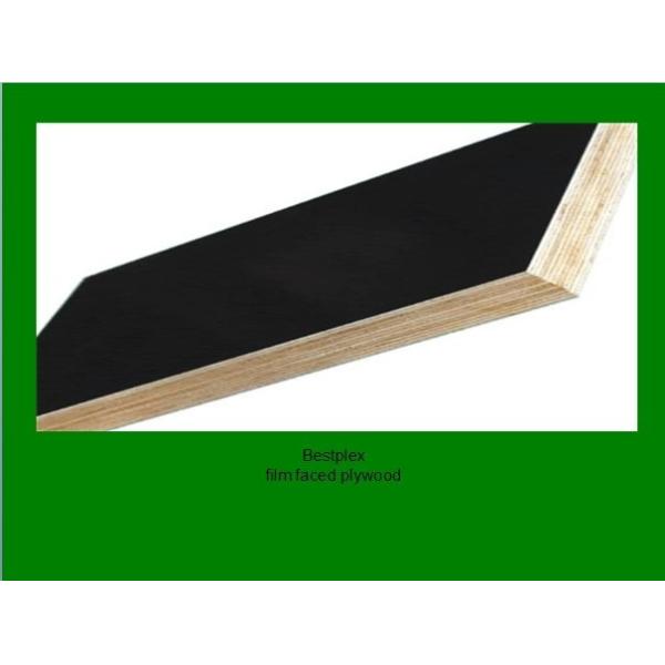 12 mm brown film faced plywood with WBP glue