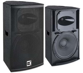 450 Watt RMS PA Nightclub Audio System Cvr Pro Audio Equipment
