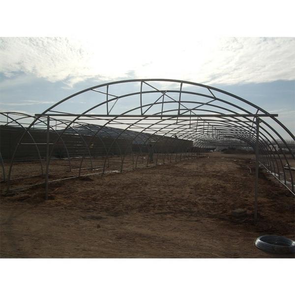 200 Micron Plastic Sheeting Greenhouse Customizable For Gulf Countries