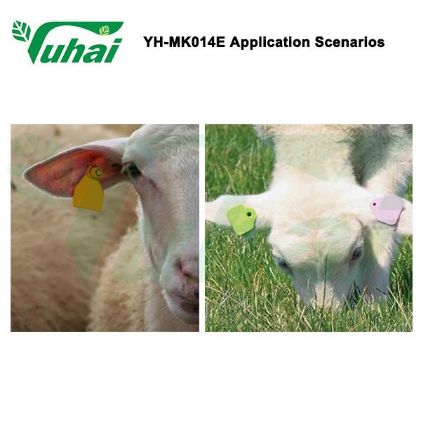 TPU RFID Long Range Ear Tag Rfid Tag de Orelha de Bovine Animal Tagger para alimentador de cabras