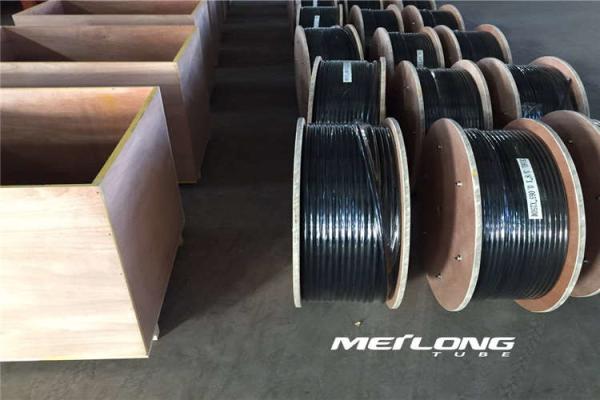 Stainless Steel Encapsulated Control Line PVC Jacketed Stress Corrosion