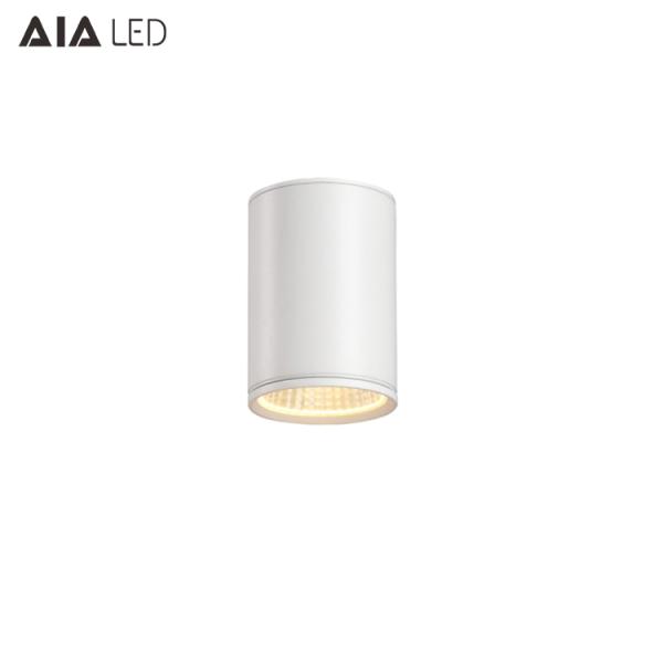 Waterproof black COB IP65 led downlight&LED outdoor down light for hotel