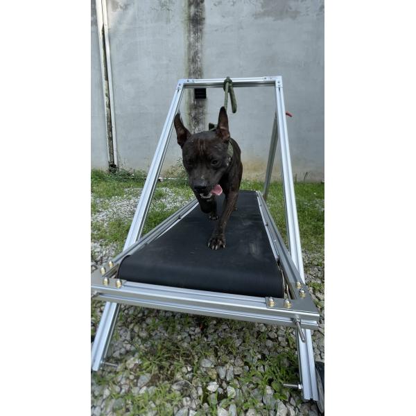 Dog Exercise Slatmill Pets Treadmill Walking Machine for Pit Bull Stocked Carpet Mill