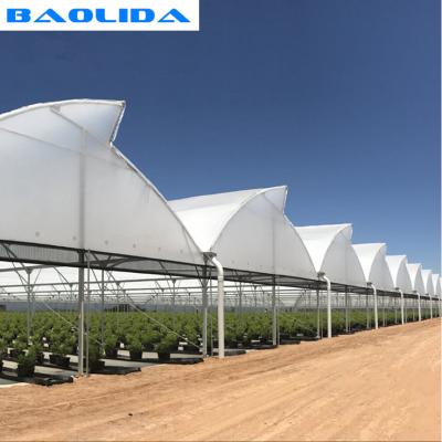 High Multi Span Strong Plastic Greenhouse Saw Tooth Roof Ventilation