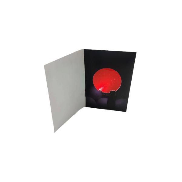 Записываемый ядровый печатание размера CMYK 21×14.8cm