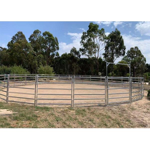 6 Bar Welded Utility Demountable 1.8m High Galvanized Cattle Panels