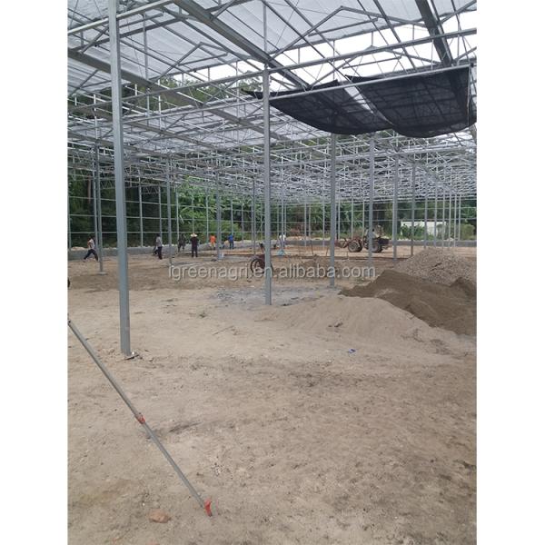 Smart Greenhouse with Customized Length and Hot Dipped Galvanized Steel Frame Featuring Roof and Side Vents