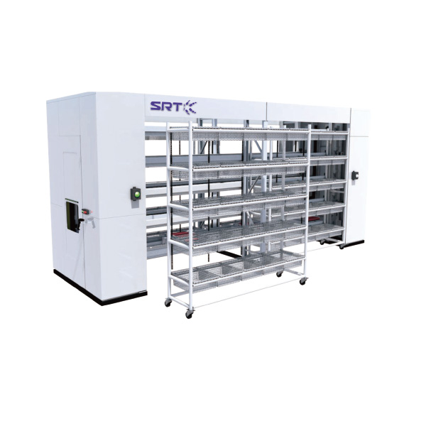 Система семенного порядка