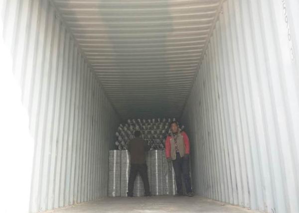 Thin Welded Wire Cloth Roll Type , Galvanized Stainless Steel Weld Mesh