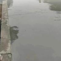 Pintura de pavimentação exterior auto-nivelação piso de cimento à prova d'água é fácil de aplicar