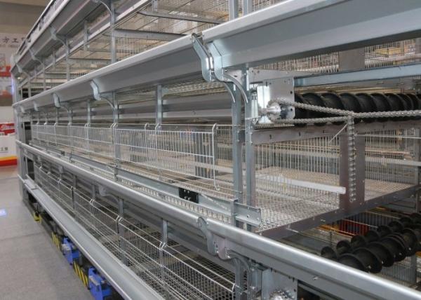 Poultry H Type Broiler Chicken Cage For Meat Chicken Convenient Management