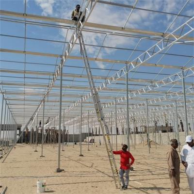 Venlo Estufas de policarbonato pesadas 8x10 8 X 12 6x8 6x4 12x48m Tomates cultivados com sistema de cultivo