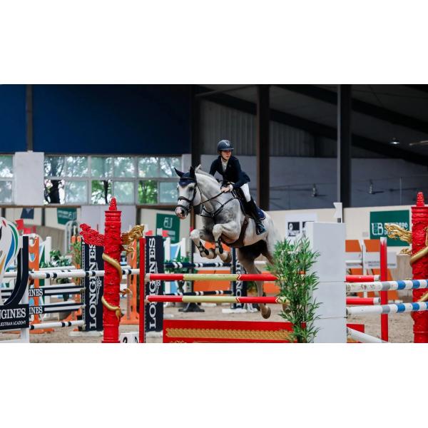 Нержавеющая сталь Лошадиный ротовой ролик с латуниным оборудованием и медными соединениями