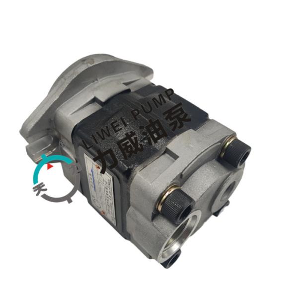 LIWEI Forklift Hydraulic Pump 91E71-10200 for FD20-30(F18C/CF18C/F14E/CF14E)/S4S