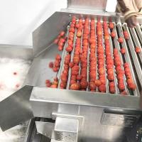 Pasta de tomate industrial que faz a máquina a fábrica de tratamento automática da ketchup