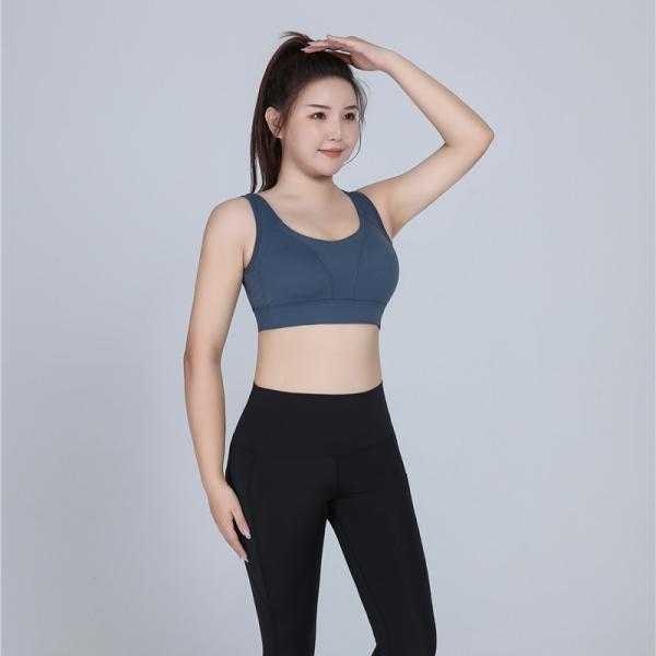 Sexy Mesh Plus Size Sports Bra Gathered Nylon Spandex 3 Colors