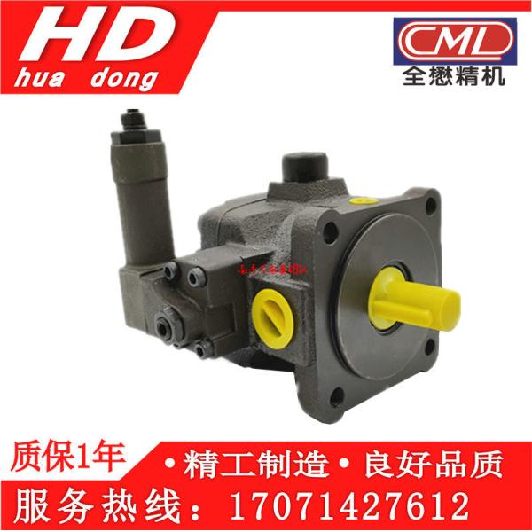CML Hydraulic Machine Pump VCM-SM-40B-20 VCM-SM-40A-20 VCM-SM-30-B-20