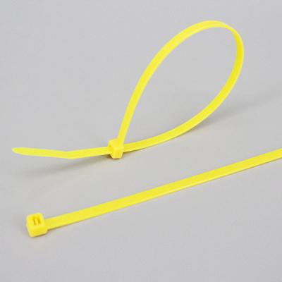3*100mm DEMOELE ROHS SGS certificated Self-Locking nylon cable ties