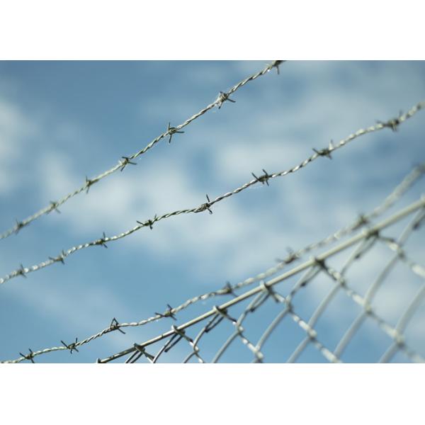 Single / Double Barbed Wire Mesh Electric Galvanized 1.0-3.5mm Dia
