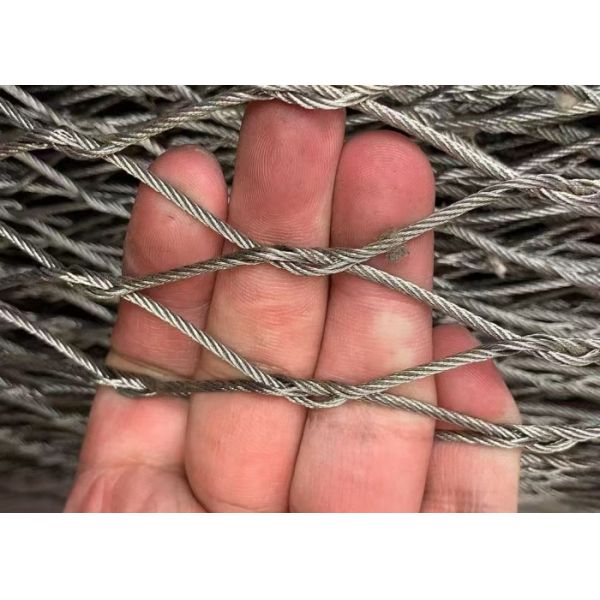 Attractive Aviary Mesh Optimizes Long term Protection for Bird Enclosure Facilities