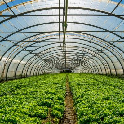 Hot Galvanized Steel Structure Greenhouse Kits with Plastic Film and Shade Net Cover Material and 1.5m-1.8m Shoulder Height