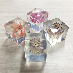 Costume barato por atacado do peso de papel com peso de papel de cristal claro acrílico do peso de papel seco real da resina das flores