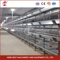 Un type étoile antirouille en acier complètement automatique de H du système Q235 de cage de poulet de couveuse