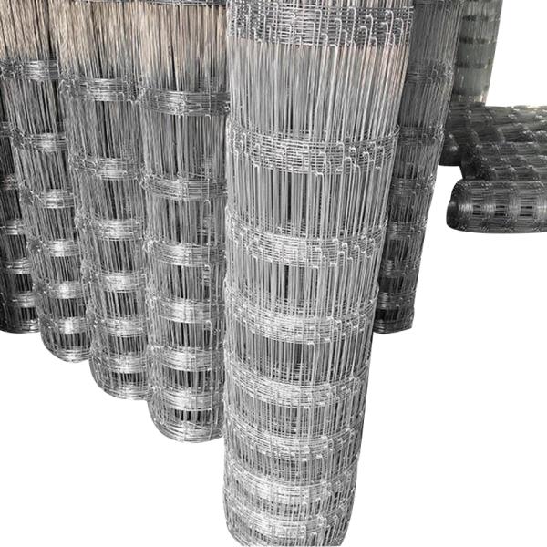 Завод фермеров по ограждению из оцинкованной проволоки