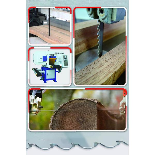 Customerized Size Gantry Alloy Wood Saw Blade for Woodworking Applications