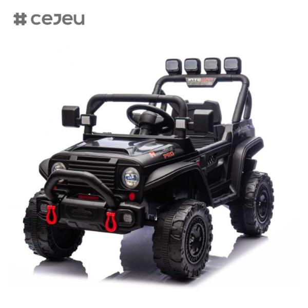 CJ-HP-018SJ 4 Wheel Drive Powered UTV Models Good Choice Rear Storage Space 2 Speeds Available Colorful Purple Black Pink Blue Plastic Car