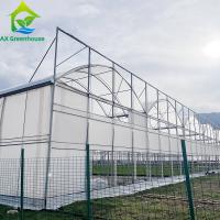 Túnel tropical de filmes de plástico de pequeno tipo Estufas agrícolas para tomate