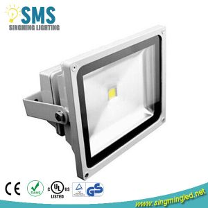 LED Flood Light