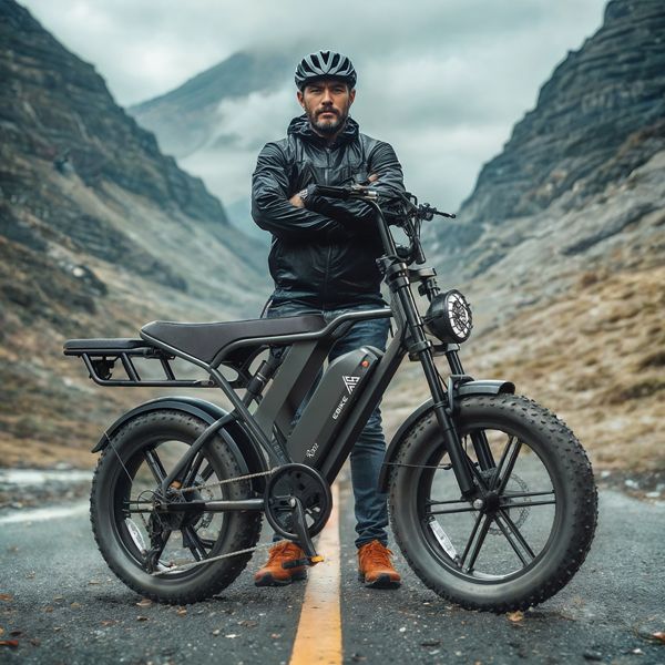 Manufacturer New Style 750w 48v 15Ah Disc Brake 20'' Fat Tire Electric Bike