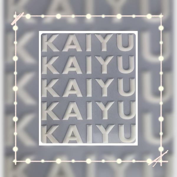 KY-0204 Effortlessly Create Stunning Fabric Labels With Silicone Embossing Machine