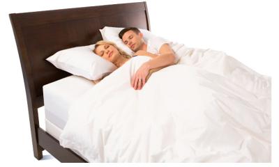 Supply duck down and goose down for King, Queen Size Duvets