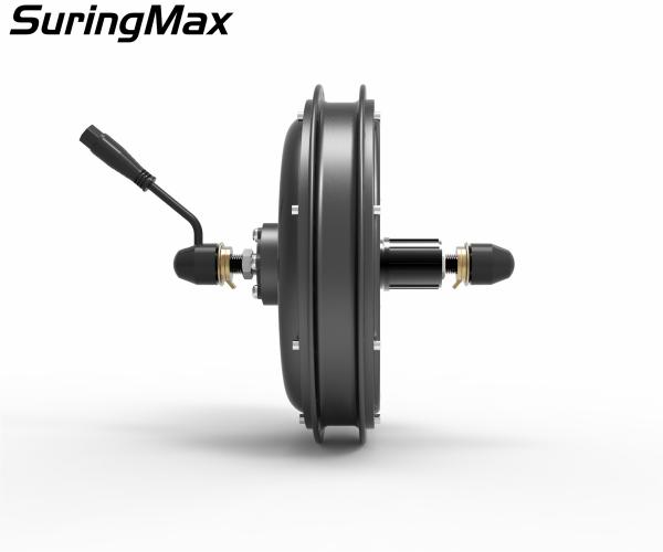 Rear Wheel Cassette Electric Bike Motor Kit With Battery 3 Years Warranty