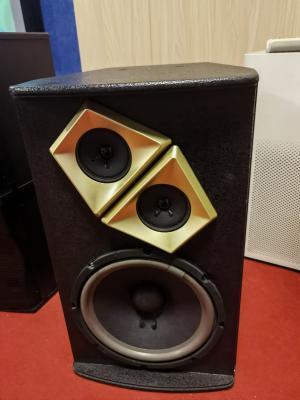 10 Inch Professional Audio Speaker Subwoofer with 350W Power Amplifier
