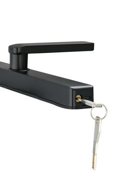屋外防水 TTlock Tuya Wifi スマートカード 指紋 パスワード スライド式アルミドアロック