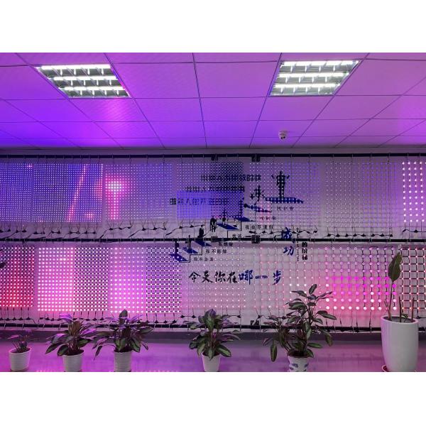 Гибкий стеклянный шкаф с светодиодным пиксельным экраном для внутренней наружной рекламы