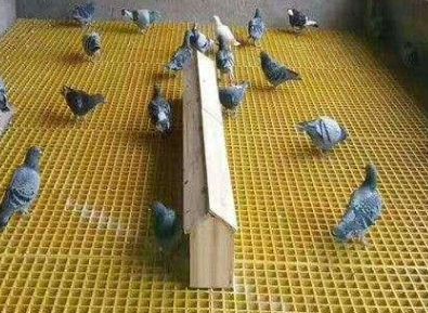 Высокое нося FRP отлило скрежетать в форму справляющся гриль для салона красоты автомобиля