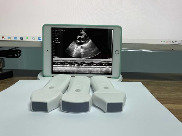 Portable Hand Held Used Cheap Phased Array Ultrasound Machine Probe
