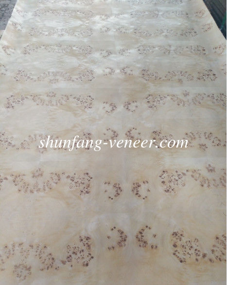 Mappa Burl Paper Backed Veneer | Paper Backed Poplar Burl Veneer Sheets