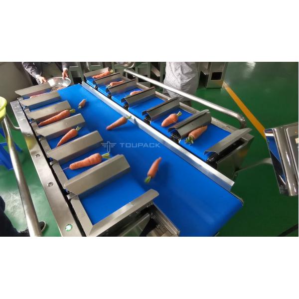 Semi автоматический Weigher комбинации 12 поясов для Chili огурца моркови овоща