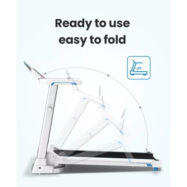 BSCI que dobla la rueda de ardilla casera de los deportes de la aptitud de la pantalla del LED