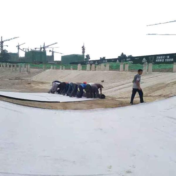 Compactness Advantage1 Bentonite Geosynthetic Clay Liner for Waterproof Performance